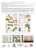New Format Flora Parisiensis 12 x 16 Decor Transfer™