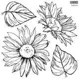 Sunflowers 12×12 IOD Stamp™