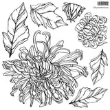 Chrysanthemum 12×12 IOD Stamp™
